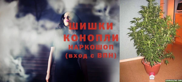твердый Бородино