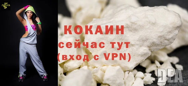 твердый Бородино