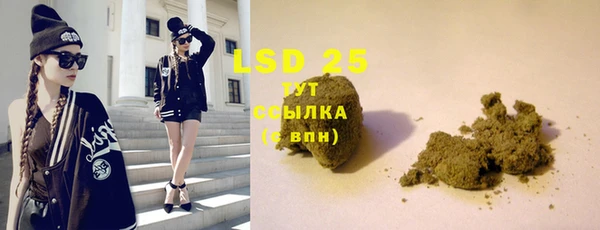 твердый Бородино