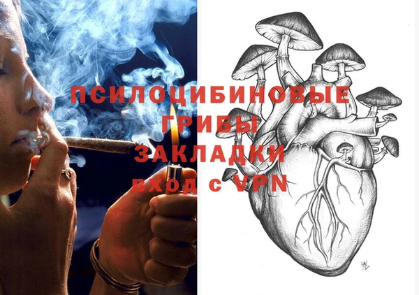 твердый Бородино