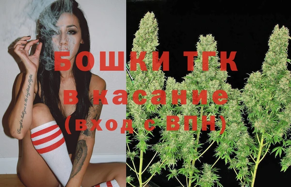 твердый Бородино