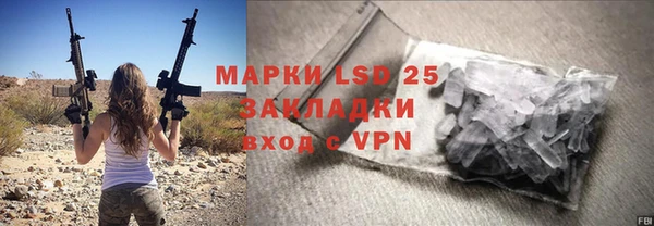 твердый Бородино