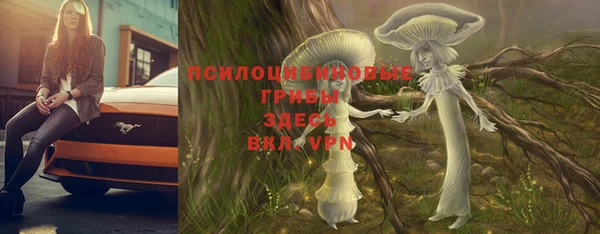 марки lsd Бугульма