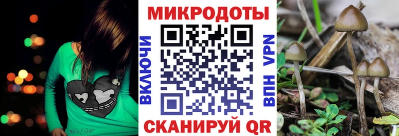 Псилоцибиновые грибы мицелий  сколько стоит  Приволжский 